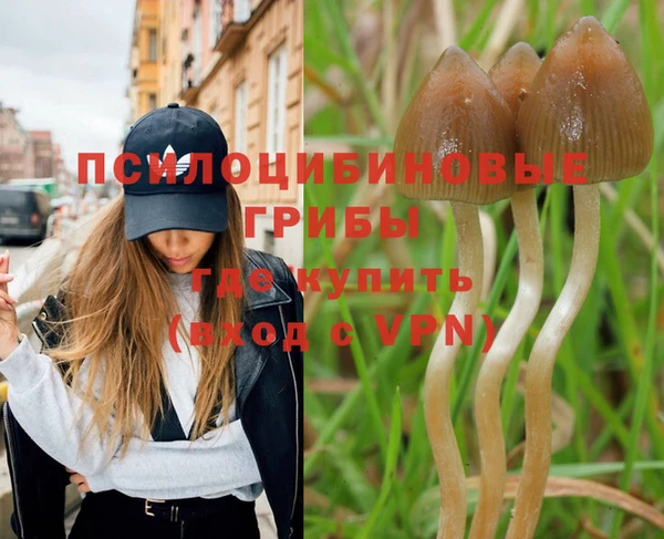 хмурый Горняк