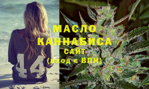 индика Тихвин